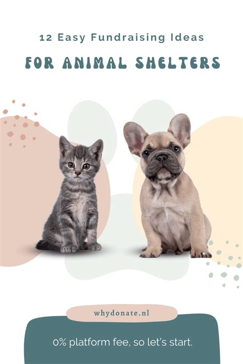 12 Easy Fundraising Ideas For Animal Shelters .